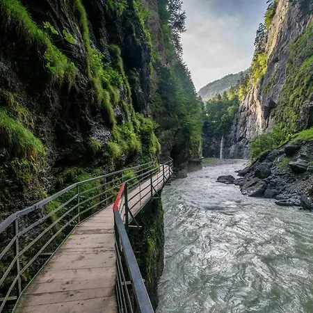 酒店 特维英酒店 3*