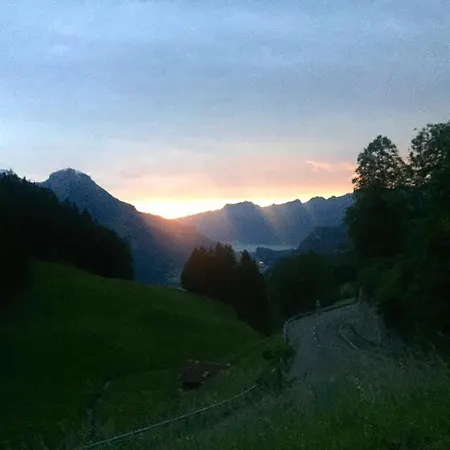 酒店 特维英酒店 3*