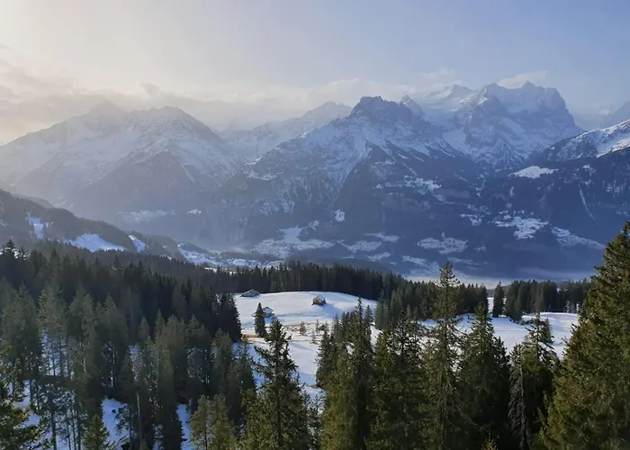 酒店 特维英酒店 3*