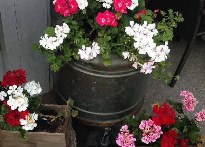 Twing Hotel Hasliberg