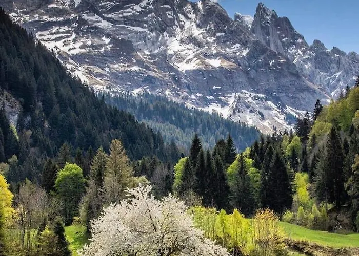 Twing Ξενοδοχείο 3*