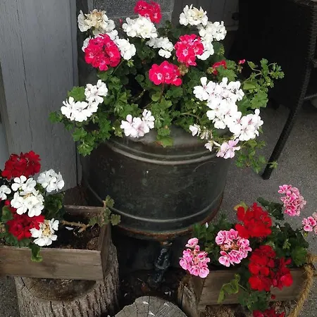 Twing Hotell Hasliberg